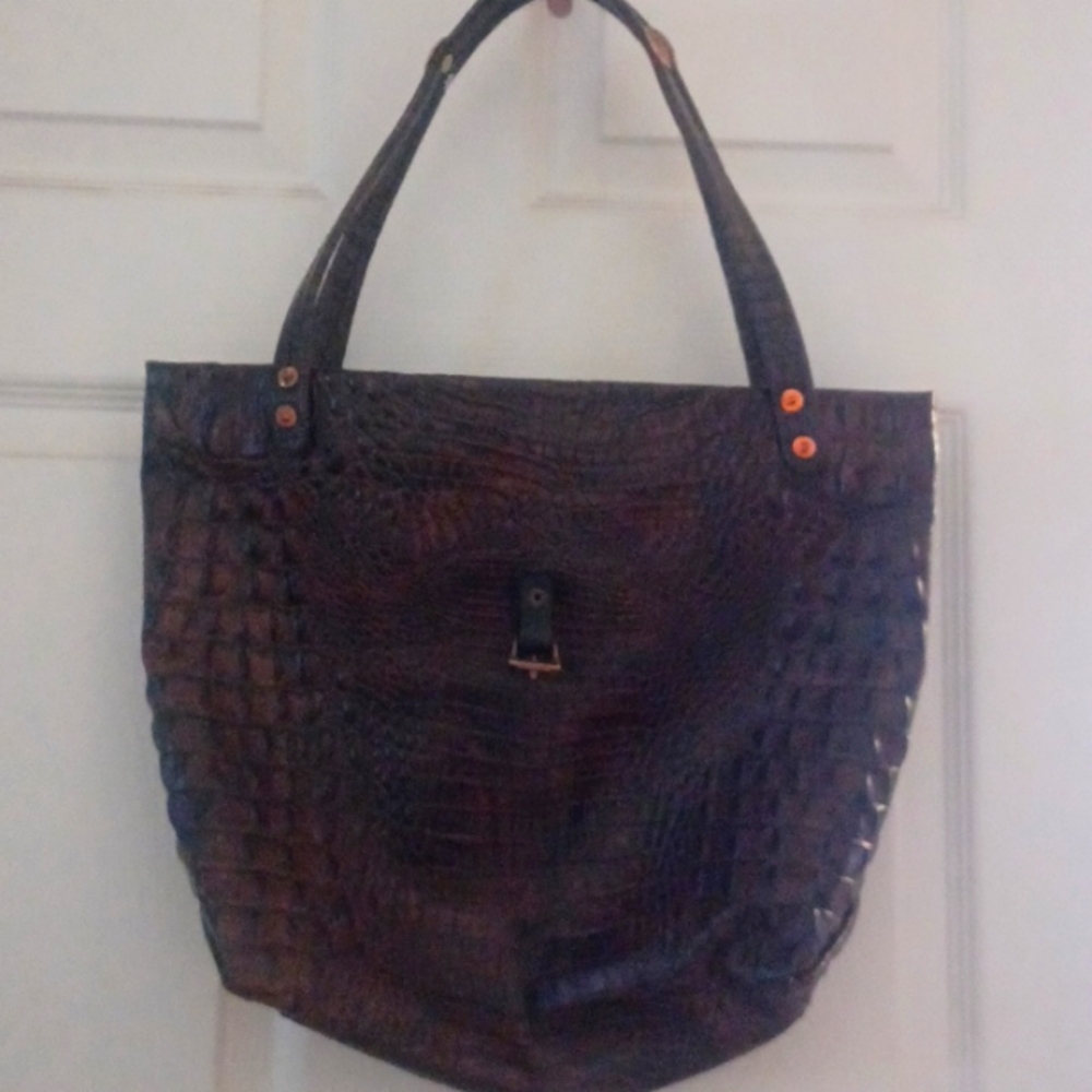 Alligator Skin purse